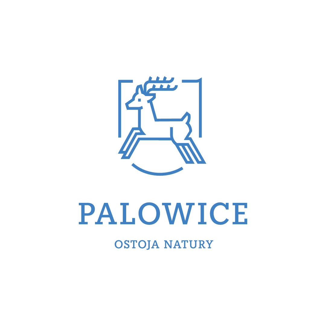 Palowice logo kolor