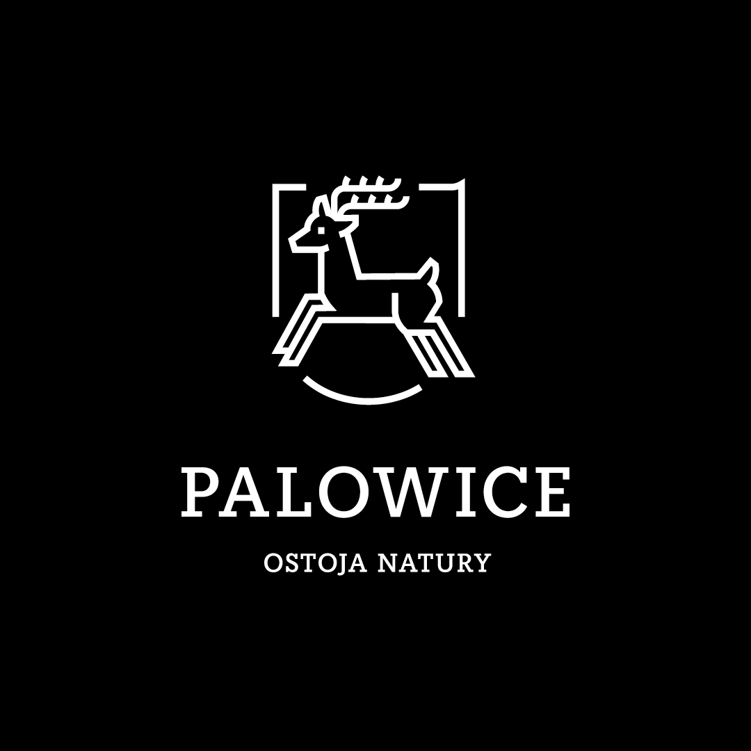Palowice logo czarne